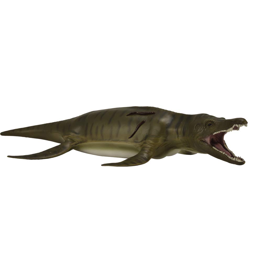 Amazon.co.jp: プリオサウルス デラックス 88699 : おもちゃ